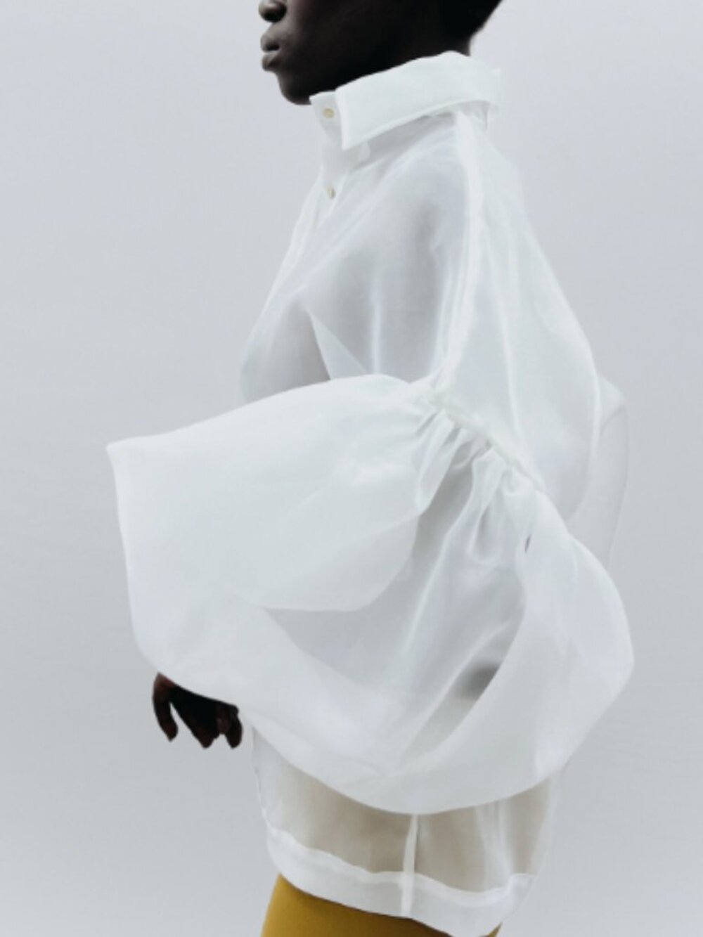 Efrain Mogollon Agua Sheer Organza Puff Sleeve Blouse